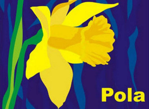 Wolontariusze Pól Nadziei – wspieramy kwestę listopadową