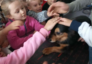 Dzieci głaszczą pieska