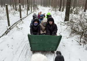 Dzieci jadą w saniach
