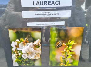 Miejski konkurs fotograficzny