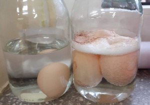 Jajka zanurzone w occie z wodą na 48 godzin