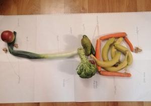 Warzywa i owoce jako uklad pokarmowy