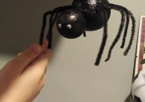 Model pająka