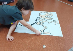 Chłopiec układa szkielet dinozaura