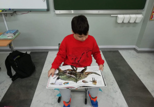 Chłopiec siedzi z otwartą książką ze zdjęciem dinozaura