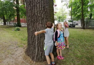 Dzieci dokonują pomiarów drzewa Ewelina Rybińska
