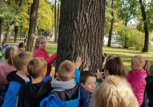 Dzieci w parku przy drzewie