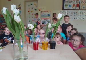 Dzieci obserwujące eksperyment "wędrówka wody w roślinach"