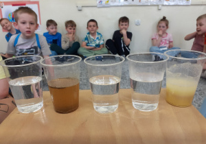 Dzieci obserwujące eksperyment "rozpuszczalność różnych substancji"