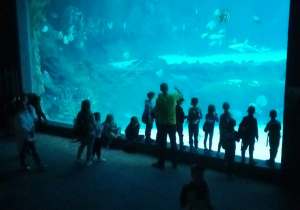 Dzieci przy akwarium z pływającymi rekinami