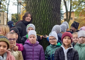 Uczniowie mierzą obwód drzewa