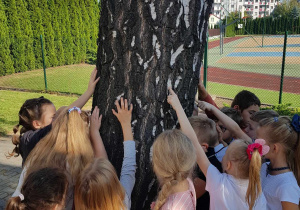 Uczniowie klasy 1c przytulają się do drzewa