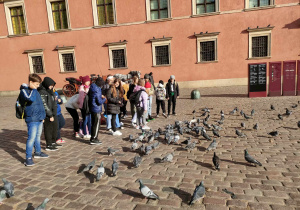 Uczestnicy wycieczki karmią gołębie na starówce