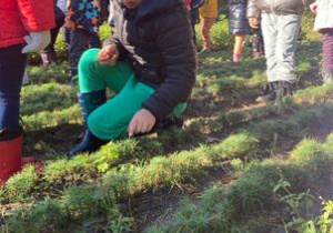 Dzieci oglądają posadzone drzewka sosny
