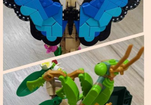 Kolekcja owadów- Klocki Lego